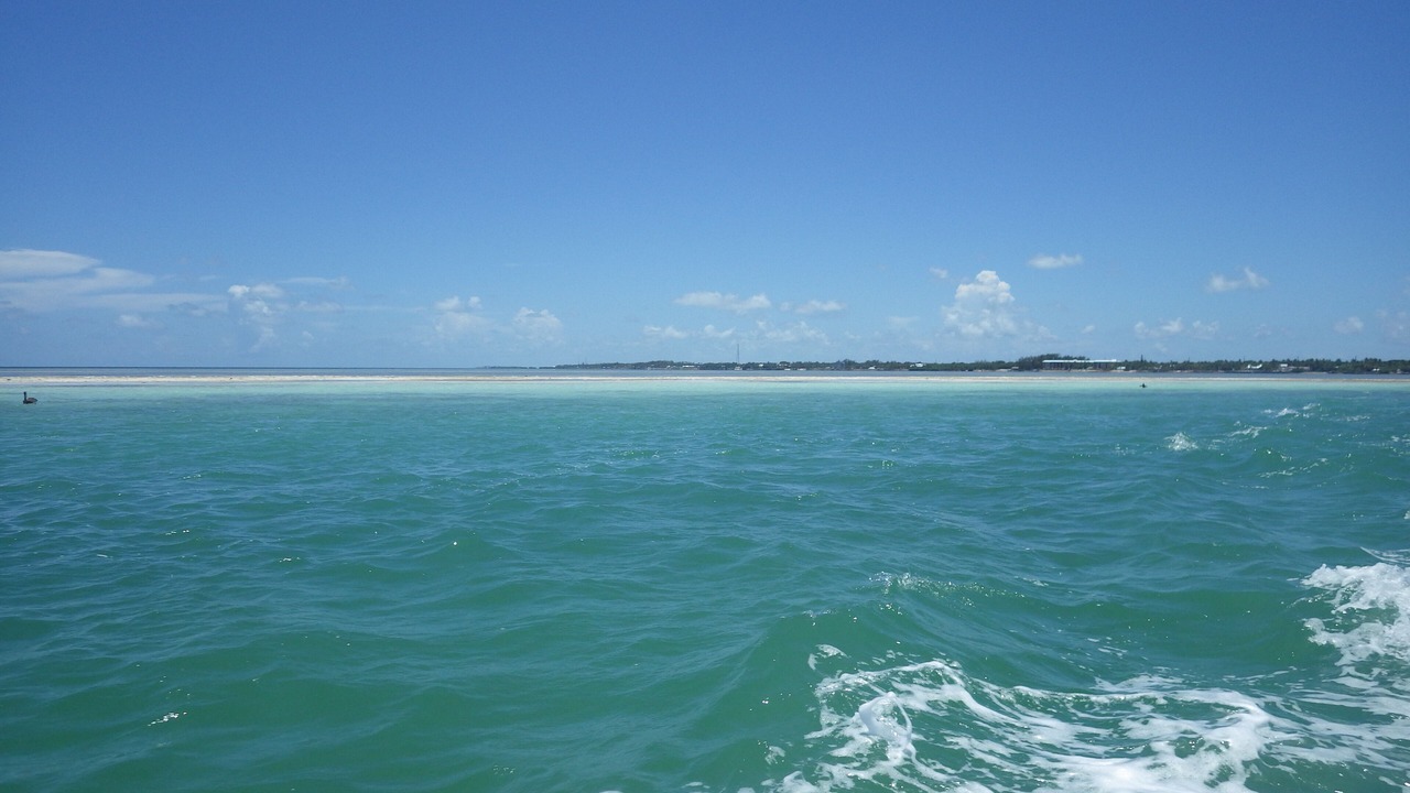 Photo of Others in Tavernier