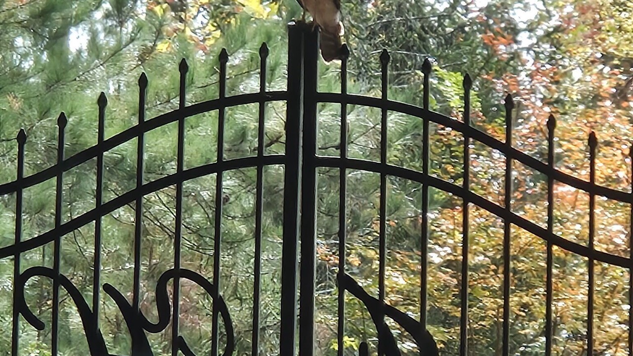 Photo of Others in Lawrenceville