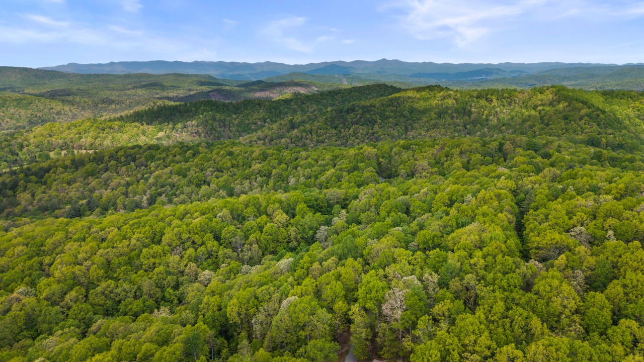 Photo of Others in Cedar Mountain