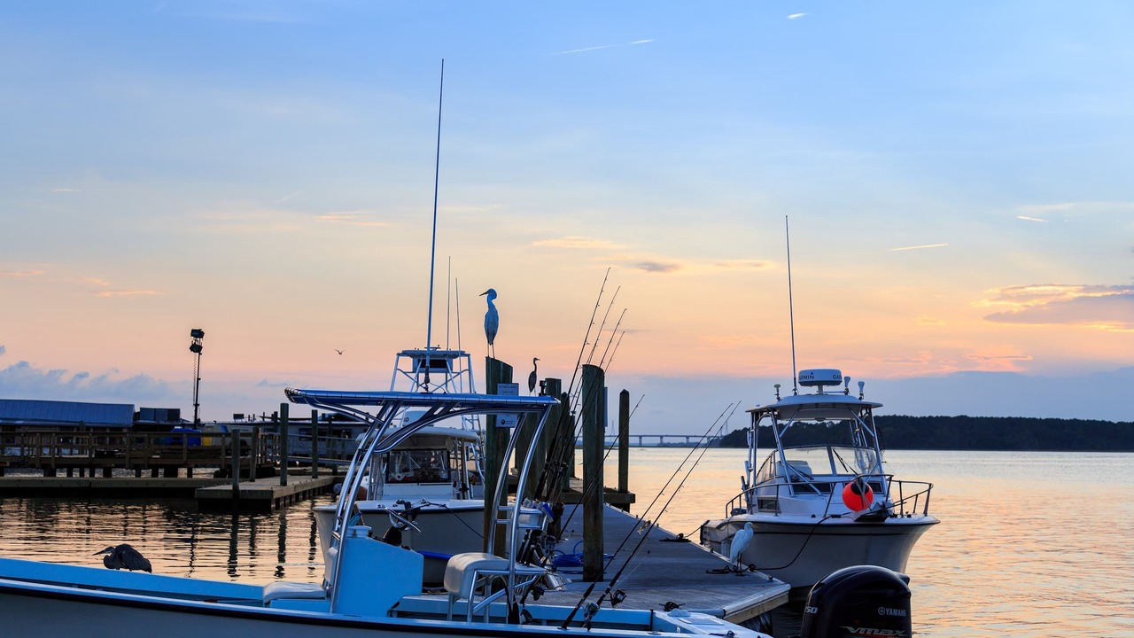 Photo of Others in Sea Pines