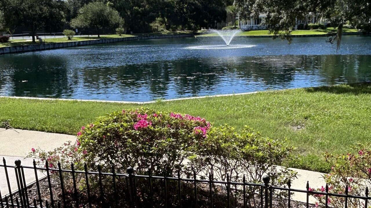 Photo of Outdoor in Demere Park
