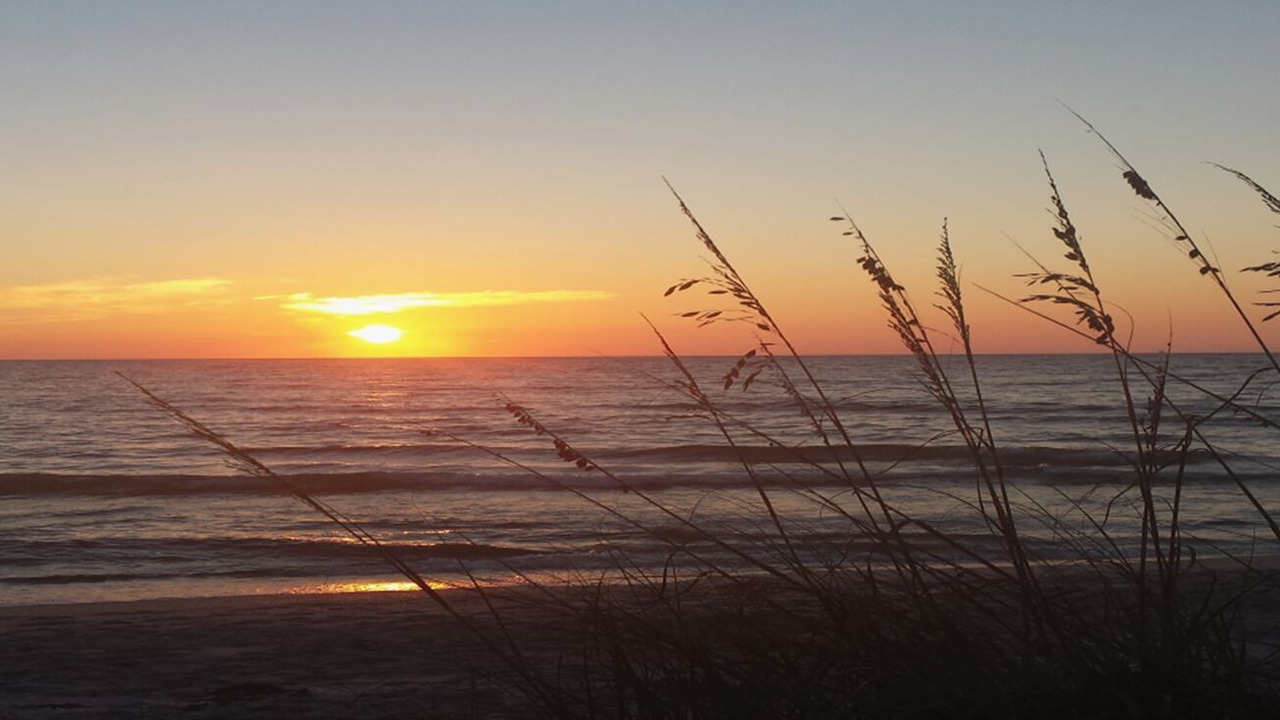 Photo of Others in Sunset Beach
