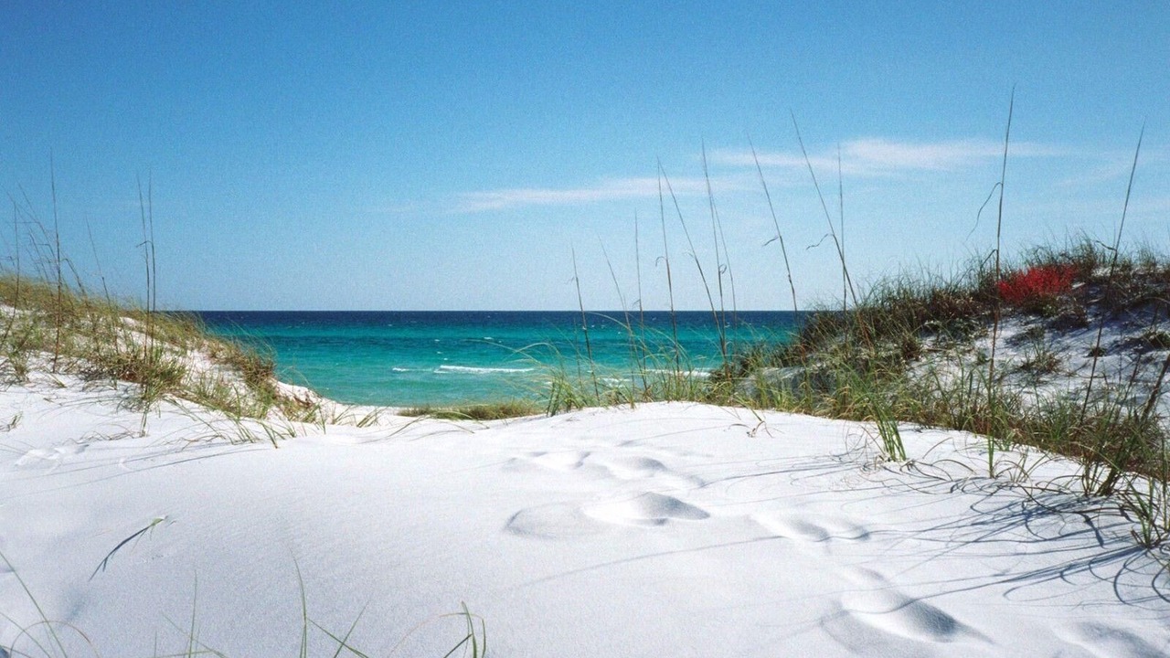 Photo of Others in Sunset Beach