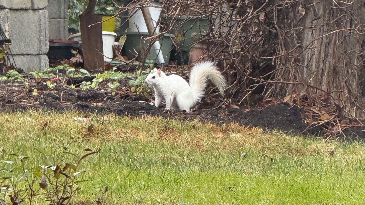 Photo of Outdoor in Arden