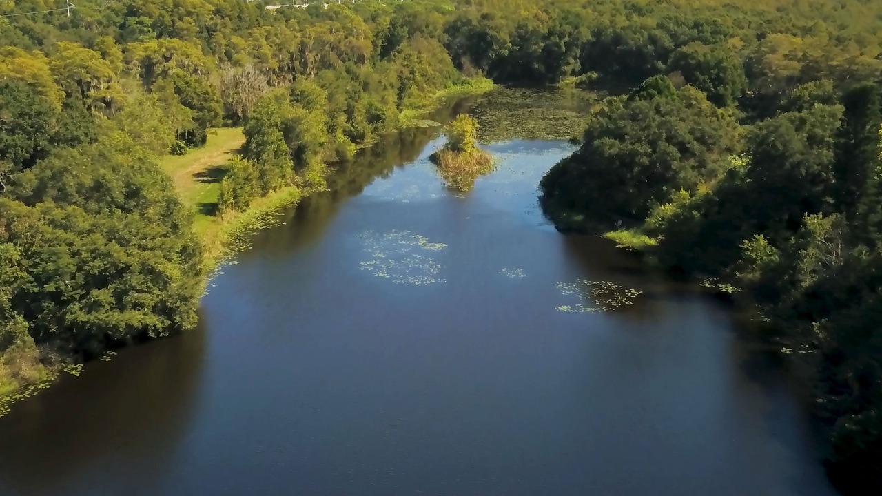Photo of Others in Citrus Park