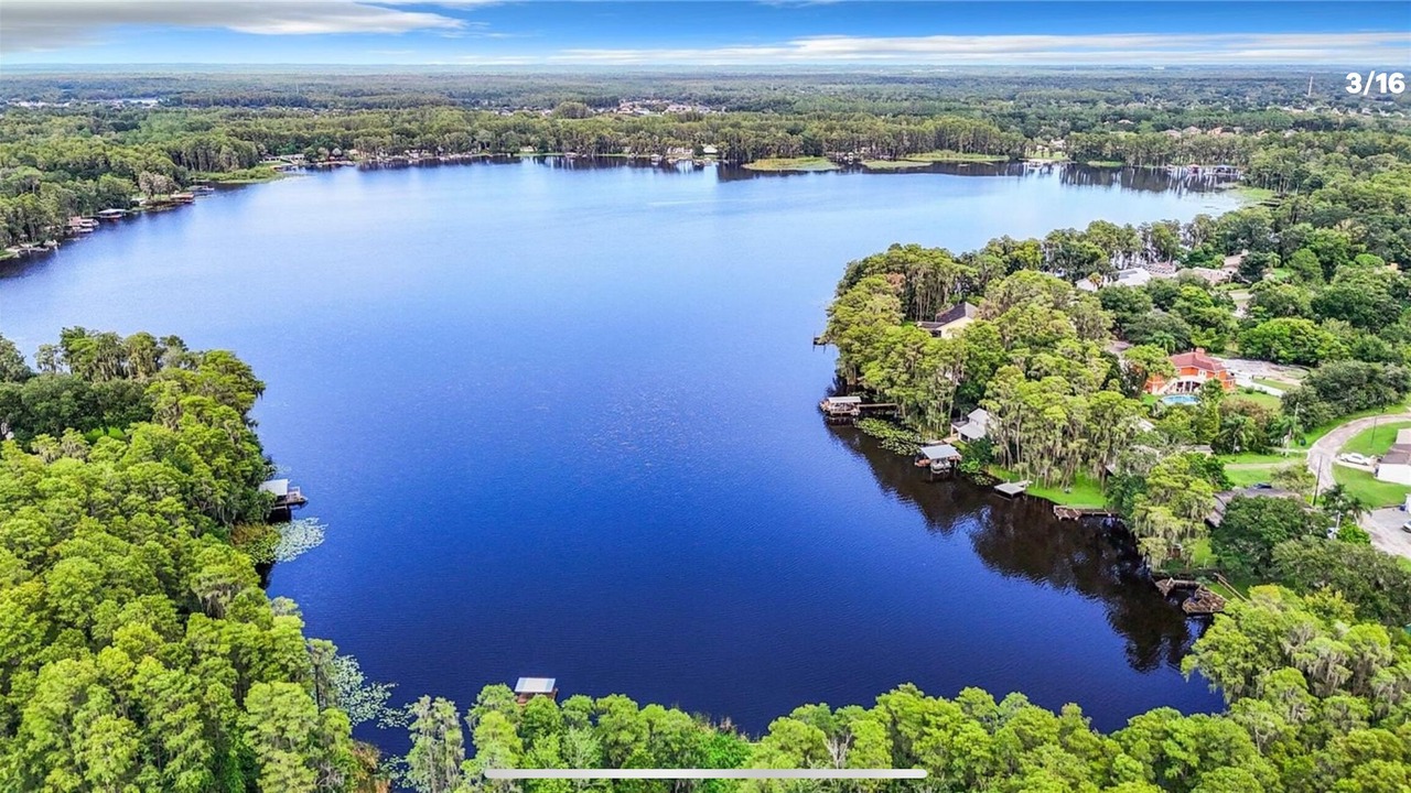 Photo of Outdoor in Land O' Lakes