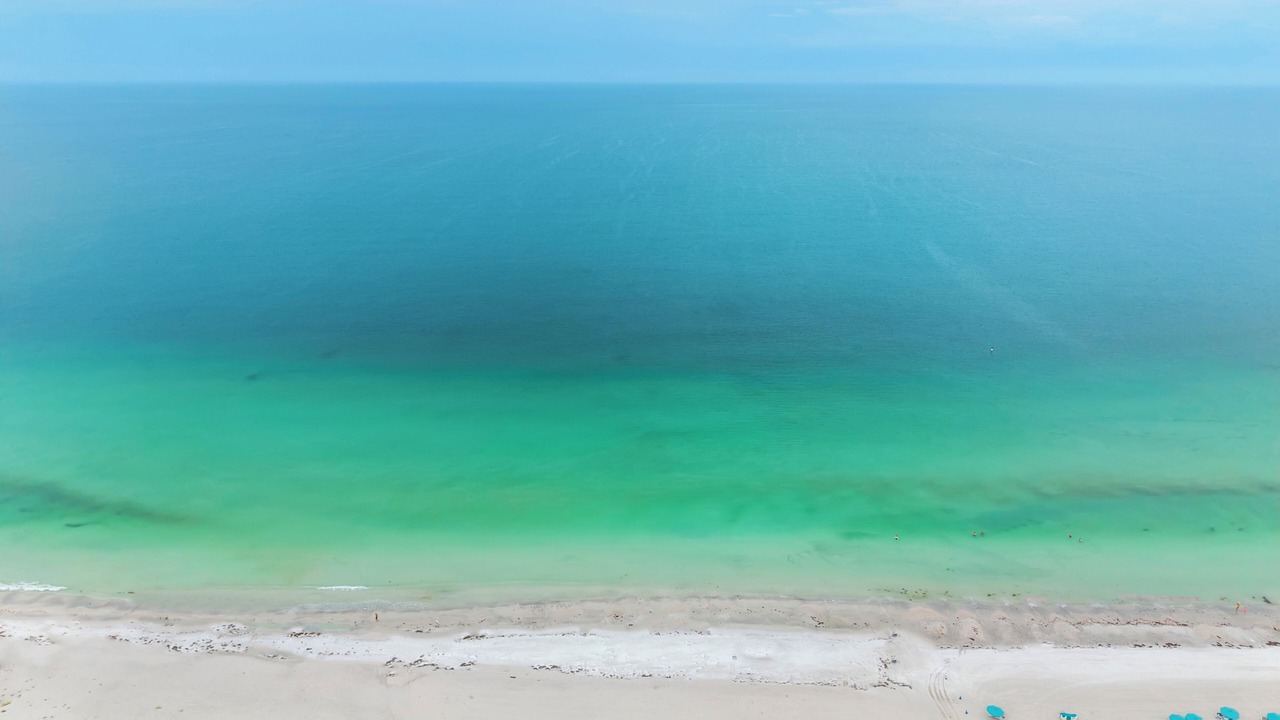 Photo of Others in Sarasota