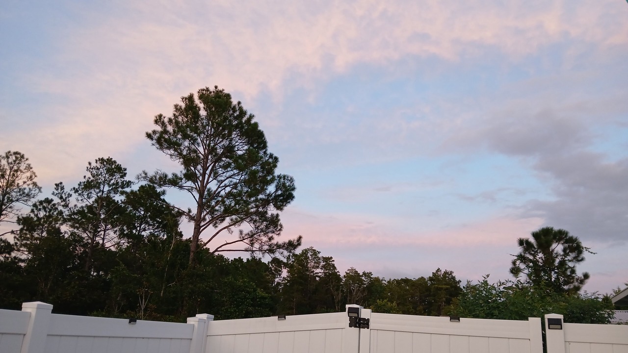 Photo of Others in Palm Coast