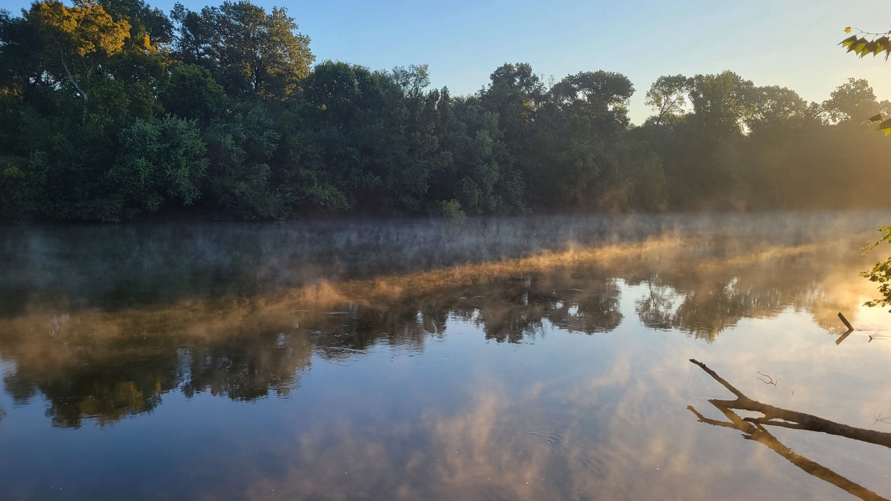 Photo of Others in South Carolina Lakes & Blackwater Rivers