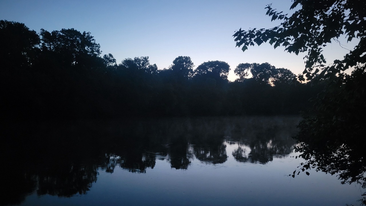 Photo of Others in South Carolina Lakes & Blackwater Rivers