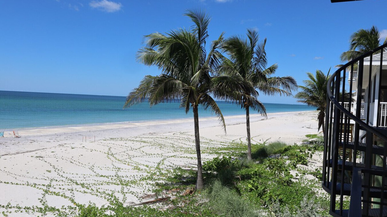Photo of Others in Palm Island