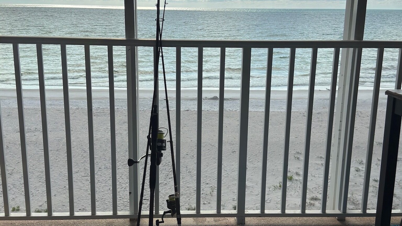 Photo of Outdoor in Belleair Beach