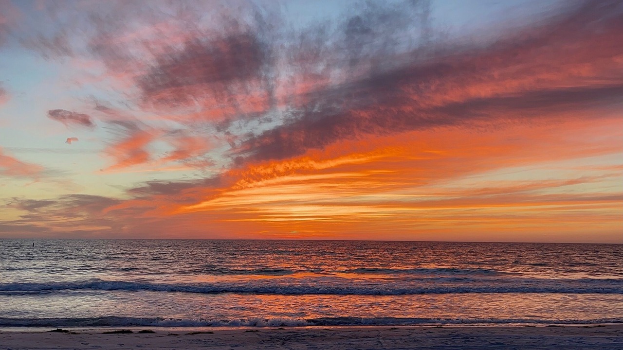 Photo of Others in Belleair Beach