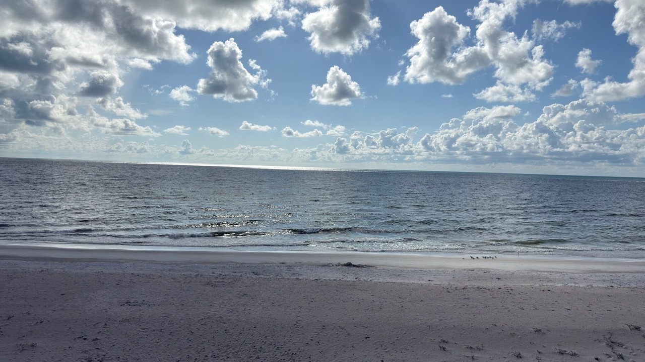 Photo of Others in Belleair Beach
