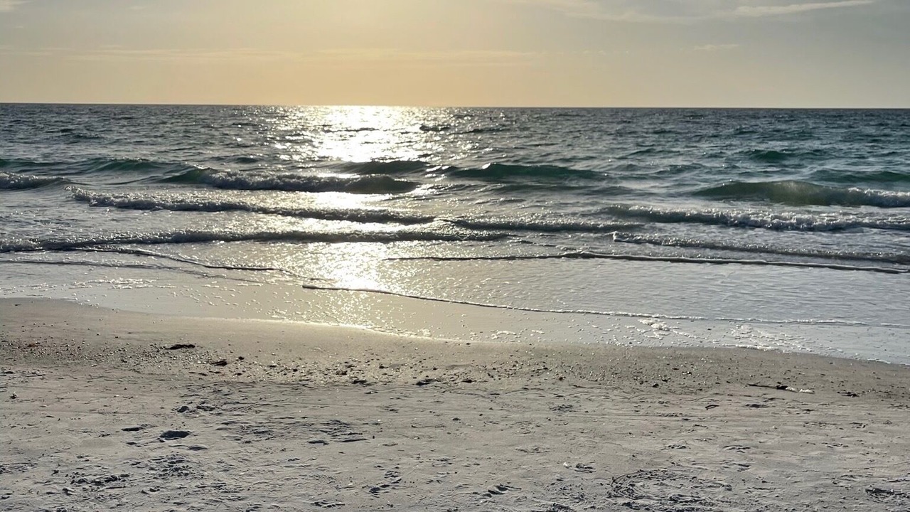 Photo of Others in Belleair Beach