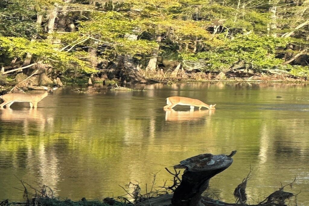Photo of Others in High Springs