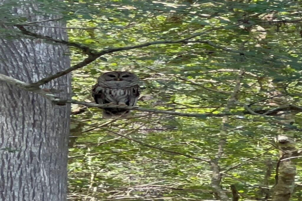 Photo of Others in High Springs