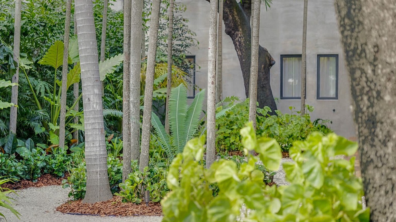 Photo of Outdoor in Overtown
