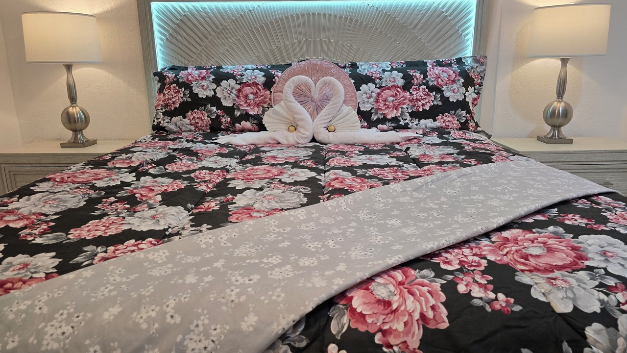 Photo of Bedroom in Tampa