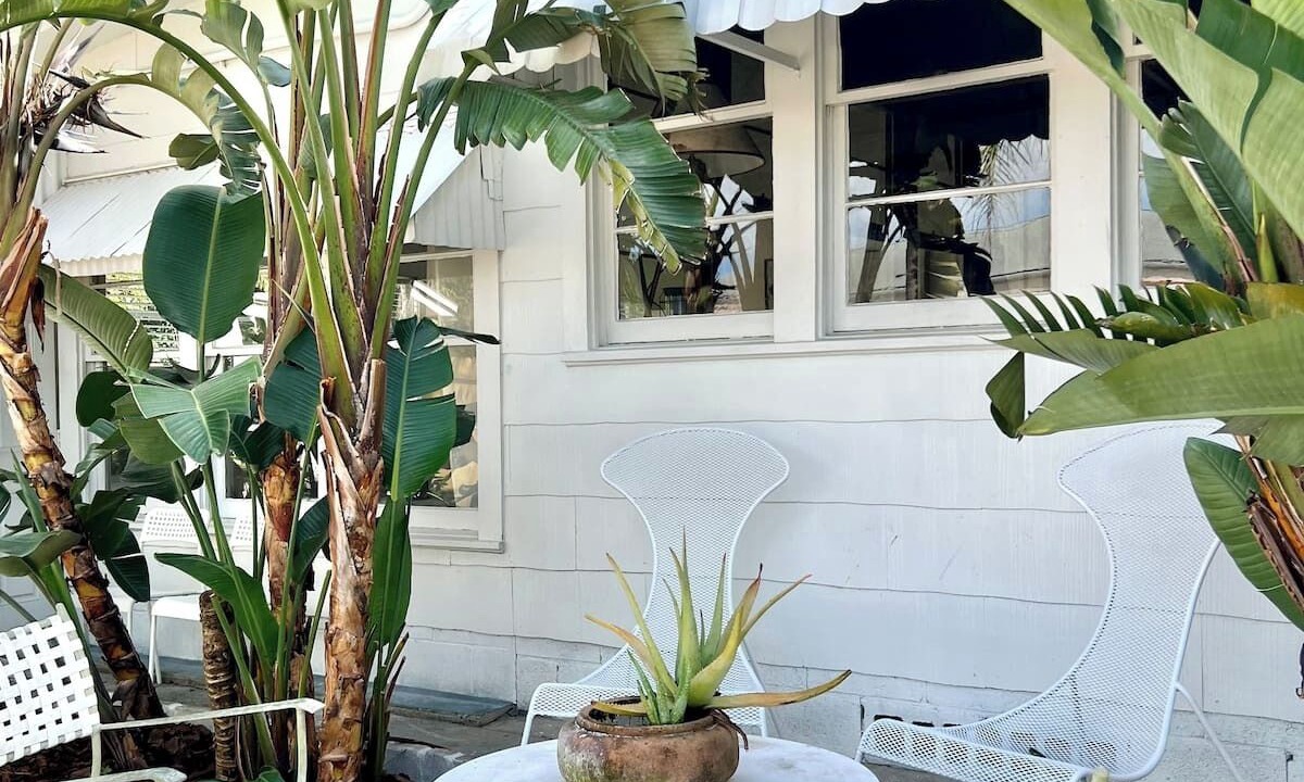 Photo of Others in Neptune Beach
