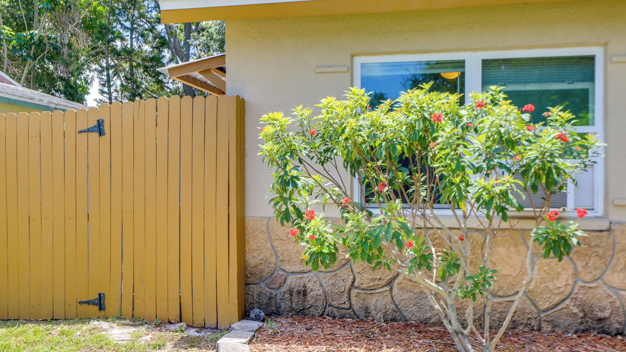Photo of Outdoor in Pinellas Park