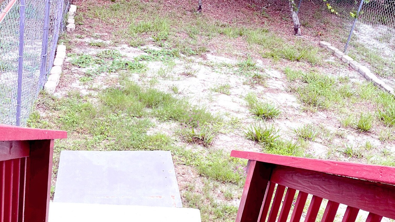 Photo of Outdoor in North Weeki Wachee