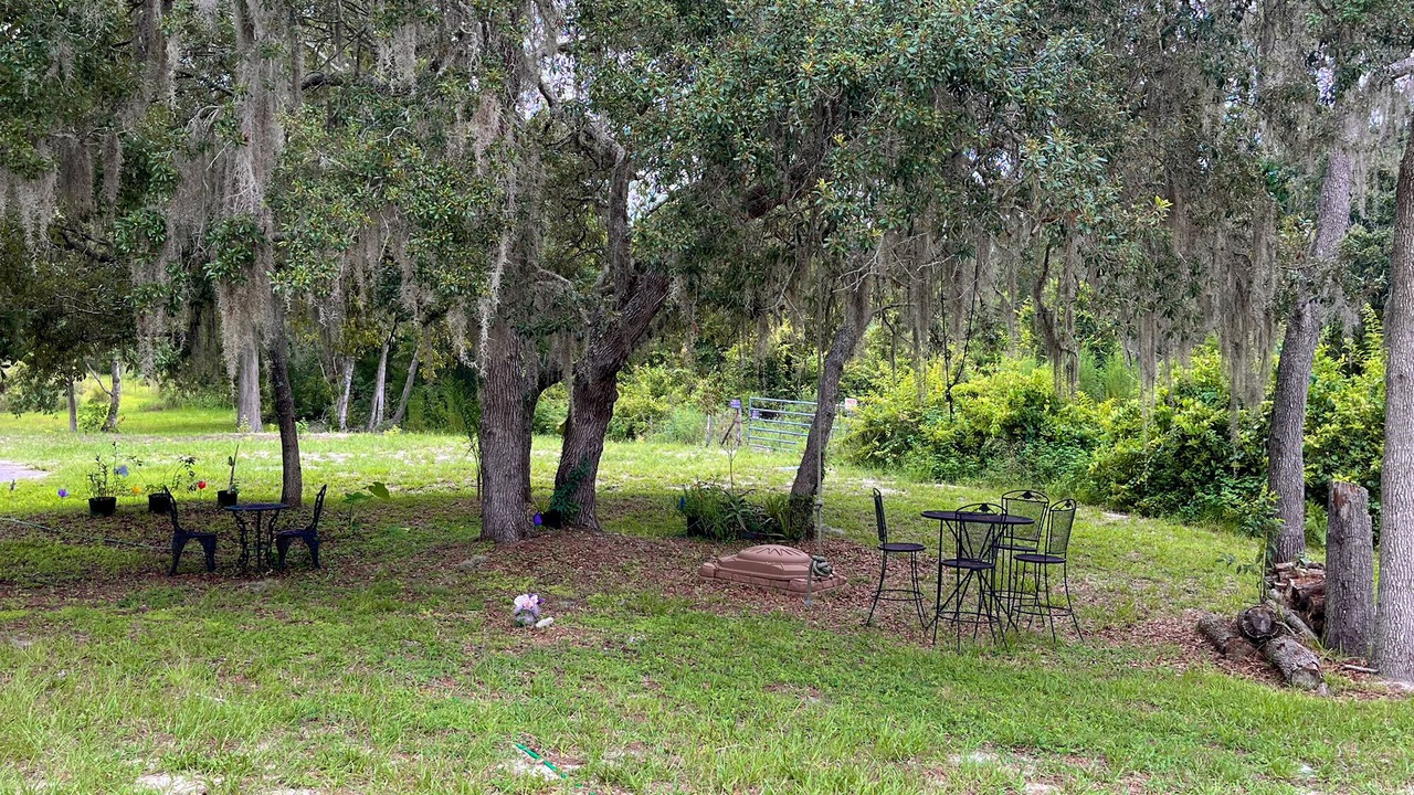 Photo of Outdoor in North Weeki Wachee