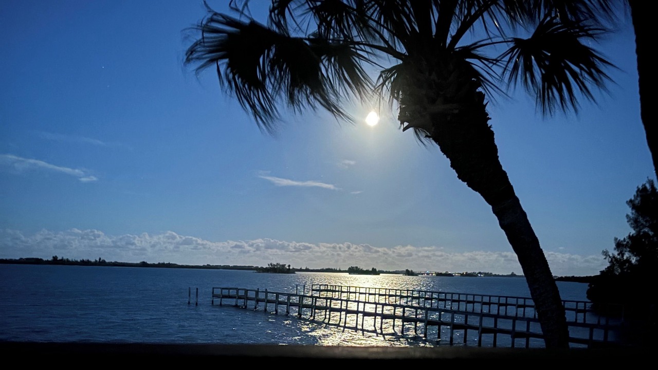 Photo of Others in Sebastian