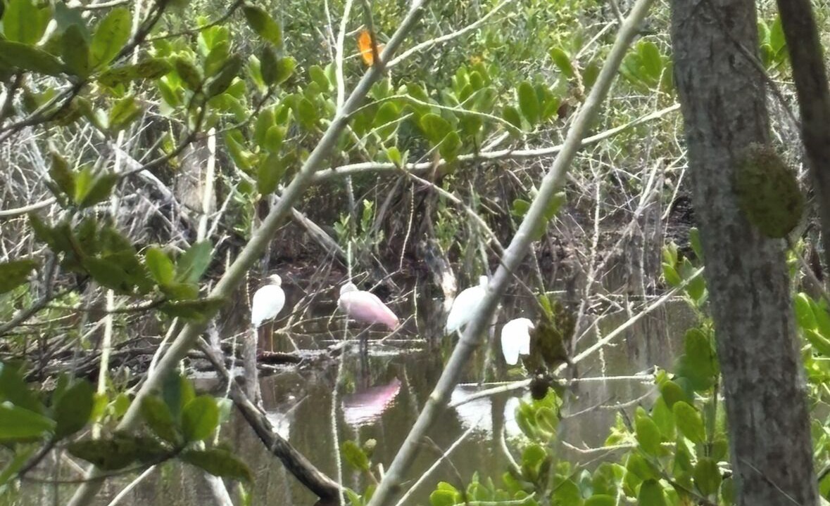 Photo of Others in Sebastian