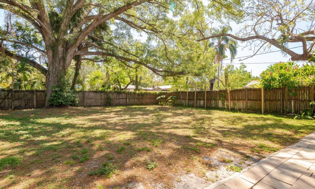 Photo of Outdoor in Seminole Heights