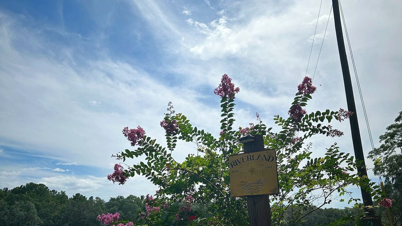 Photo of Outdoor in Fort White