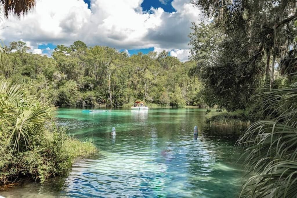 Photo of Others in Citrus Springs
