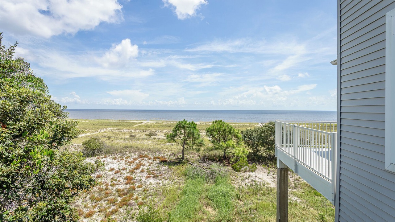 Photo of Outdoor in Alligator Point