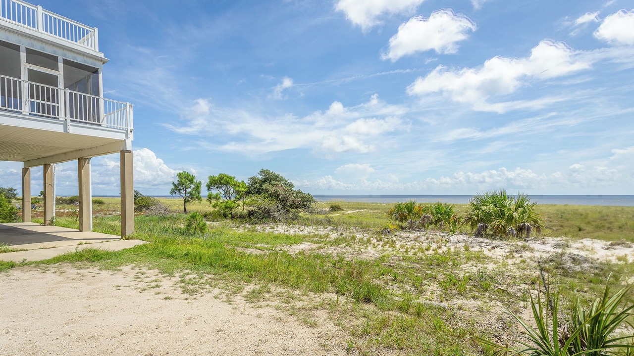 Photo of Outdoor in Alligator Point