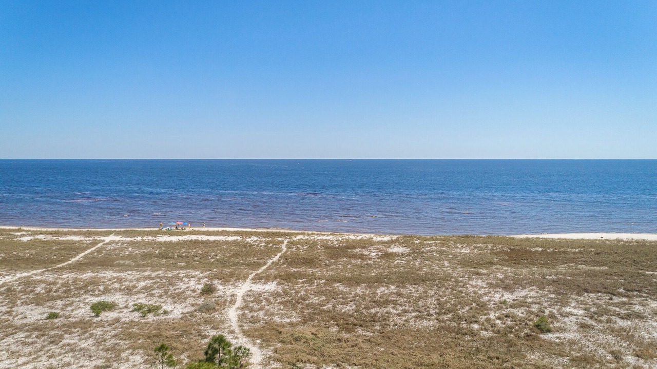 Photo of Others in Alligator Point