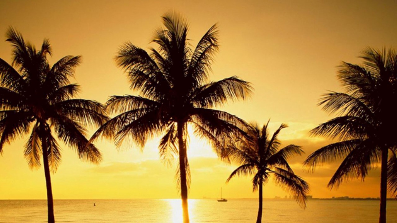 Photo of Others in Key Biscayne