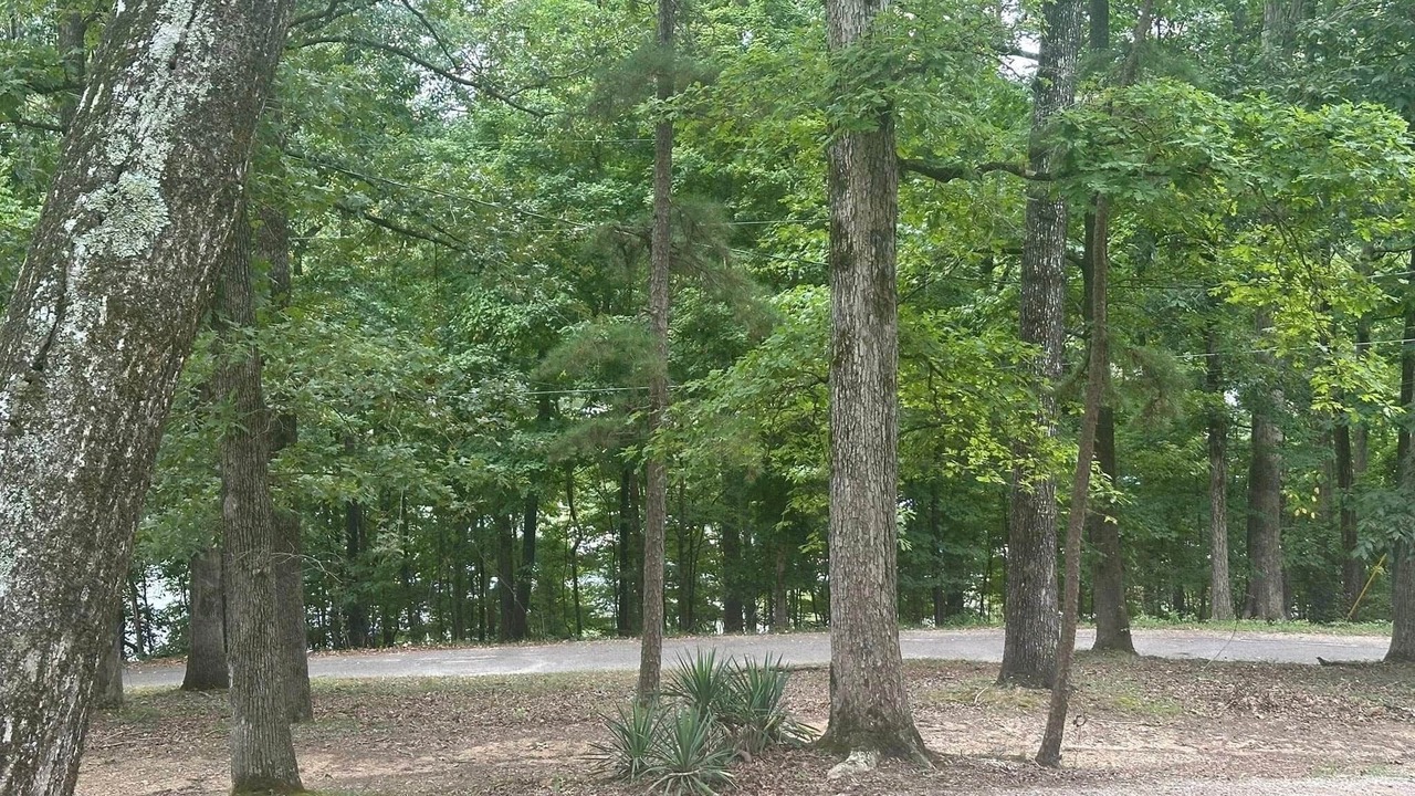 Photo of Outdoor in Counce