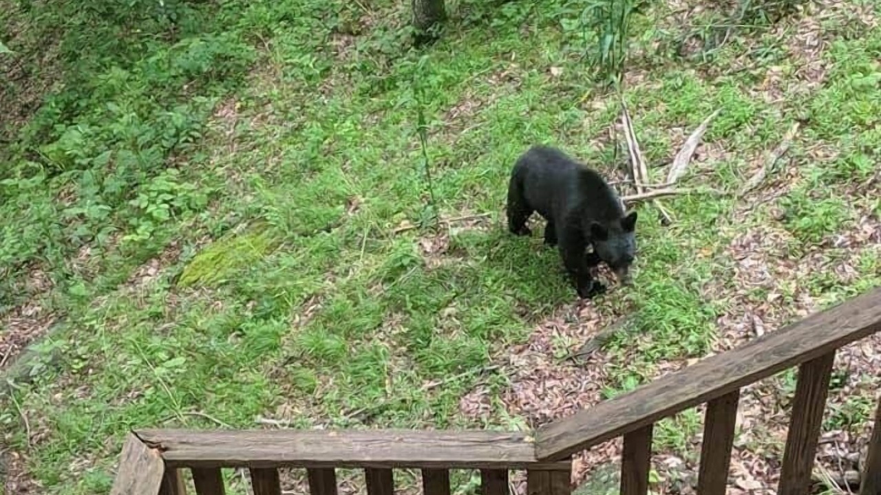 Photo of Outdoor in Chimney Rock
