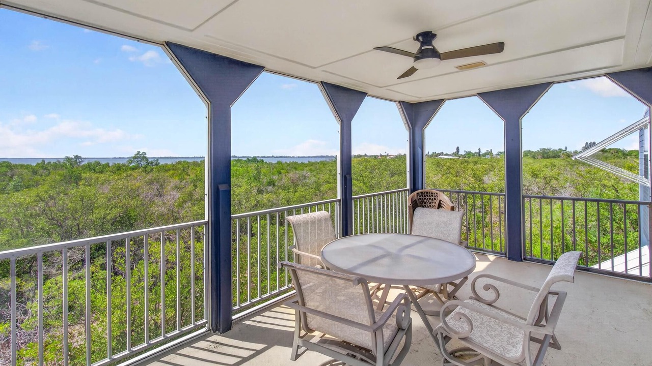 Photo of Outdoor in Palmetto