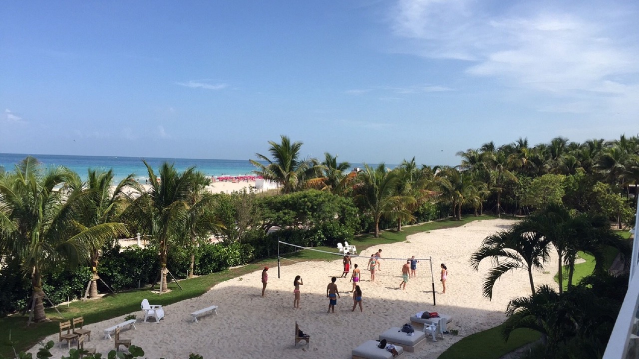 Photo of Others in South Beach