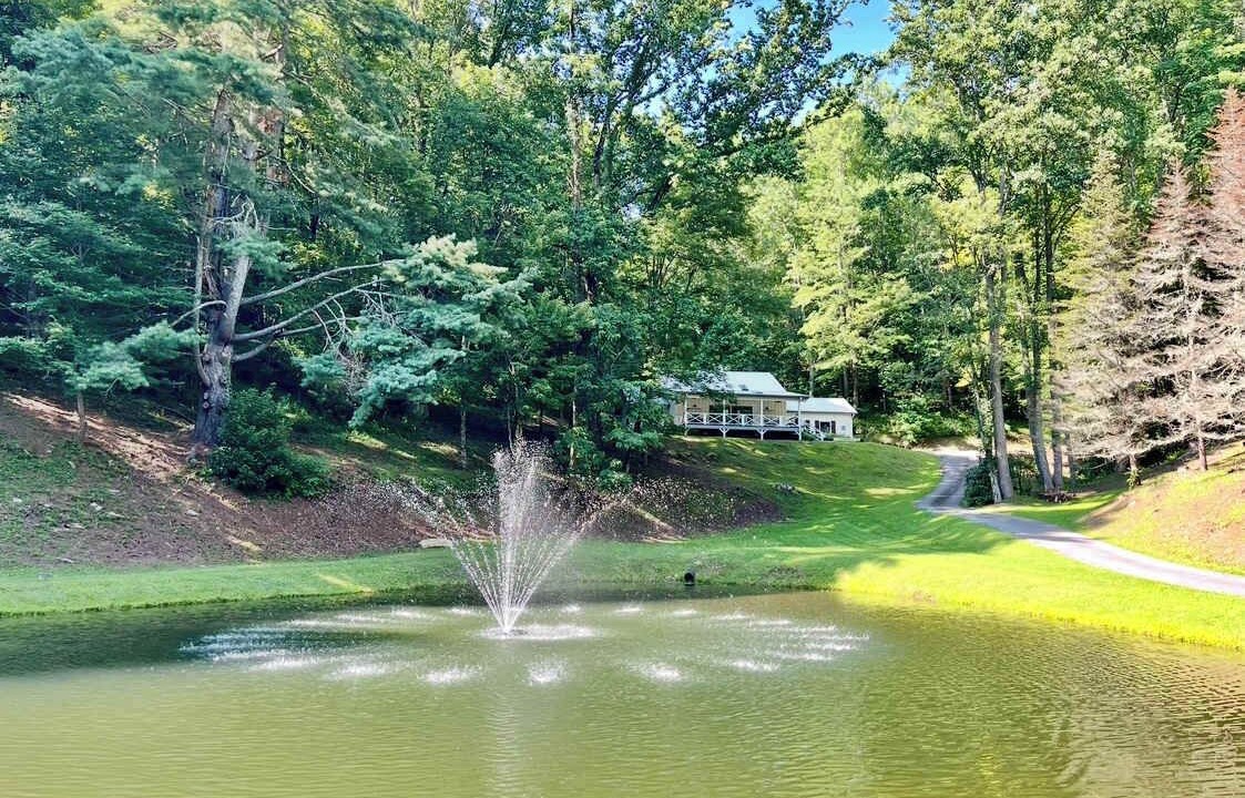 Photo of Outdoor in Sky Valley