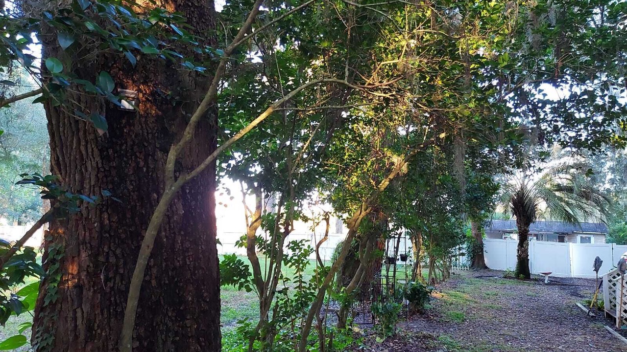 Photo of Outdoor in Belleview