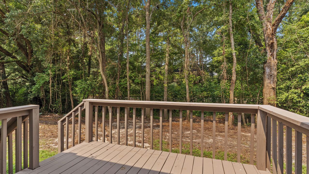 Photo of Outdoor in Tallahassee