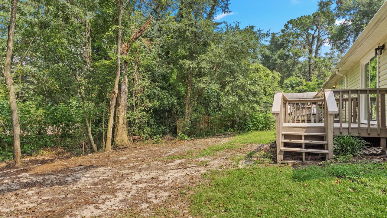 Photo of Outdoor in Tallahassee