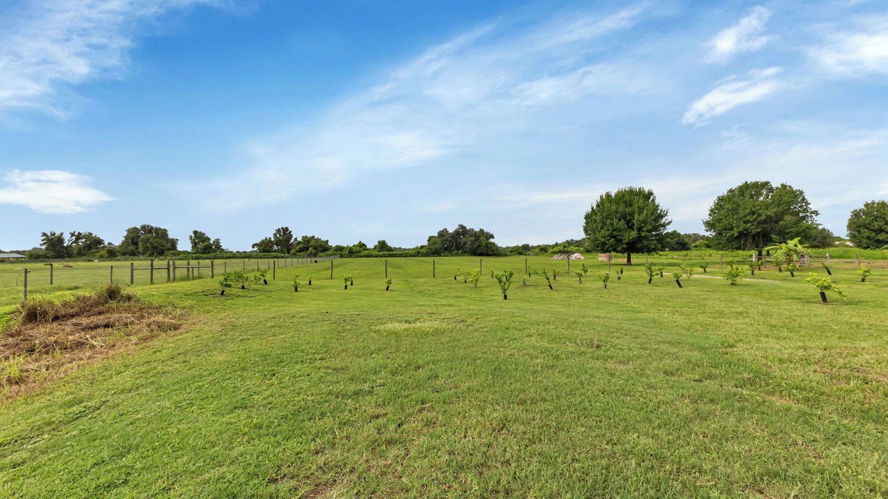 Photo of Outdoor in Arcadia