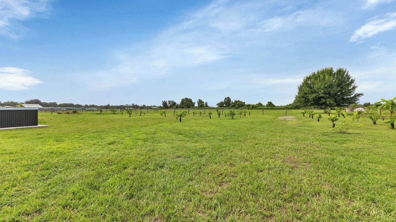 Photo of Outdoor in Arcadia