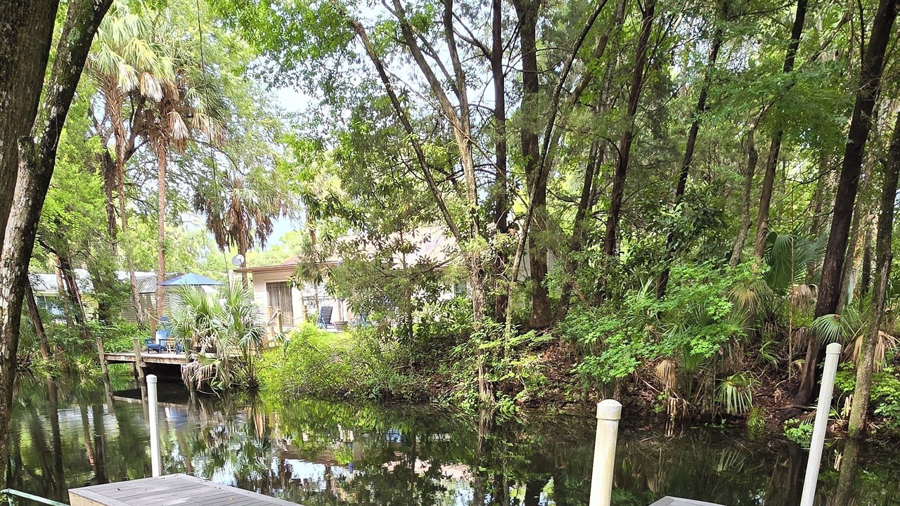 Photo of Outdoor in Yankeetown