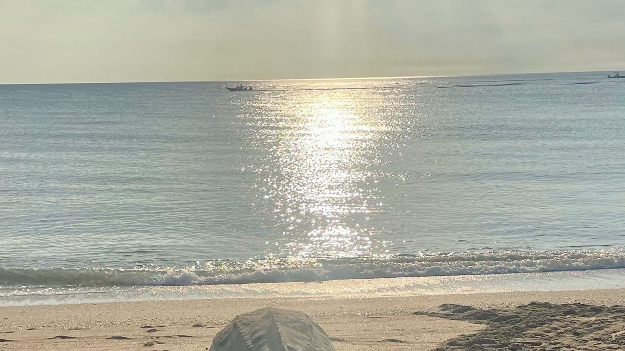 Photo of Others in Stuart