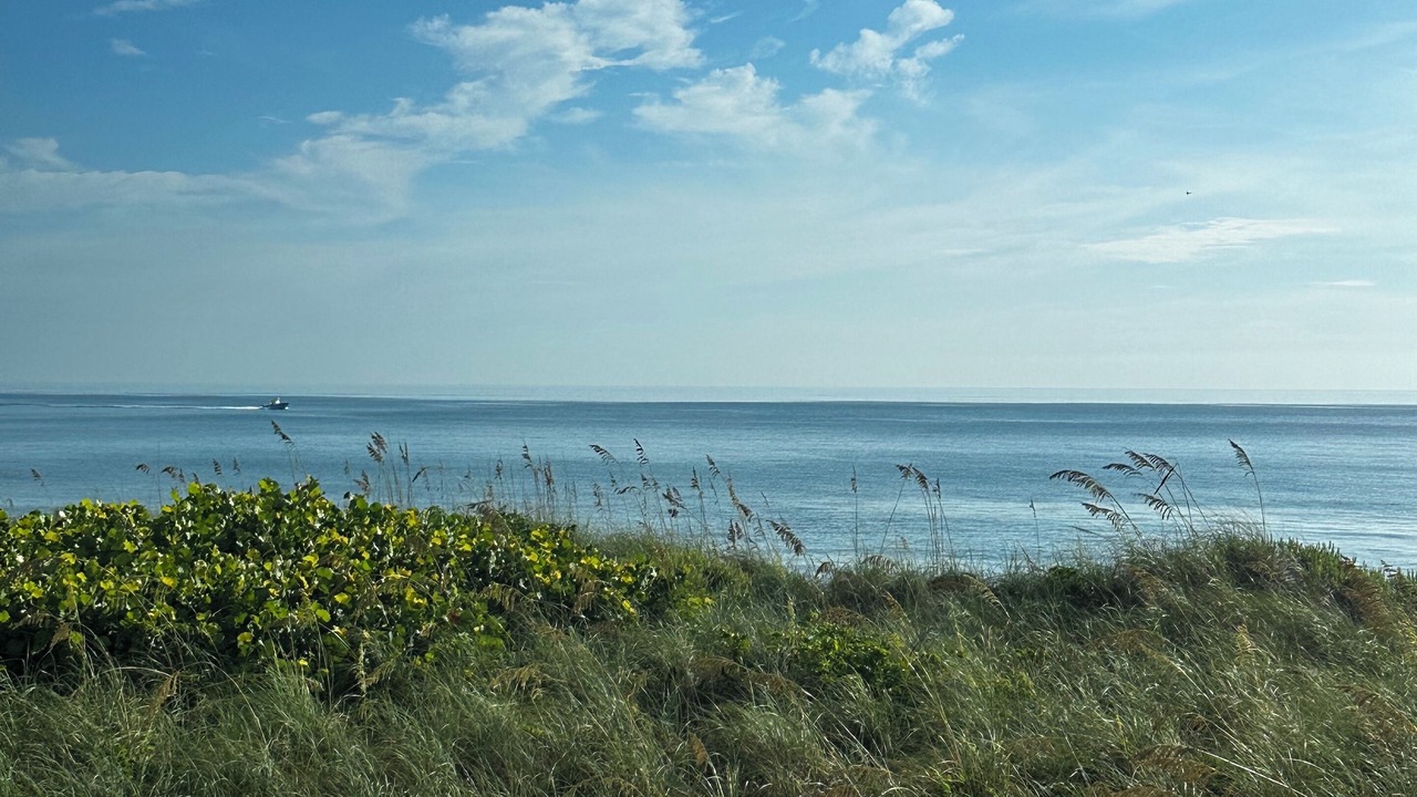 Photo of Others in Stuart