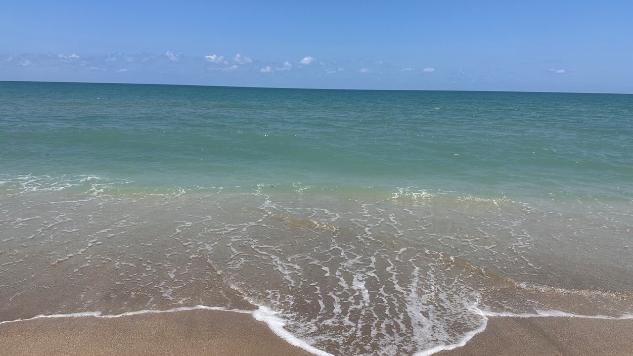 Photo of Others in Stuart